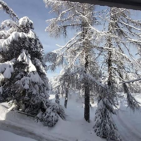 노르게 Trento, Monte Bondone, Casa Tipica Di Montagna 아파트 외부 사진