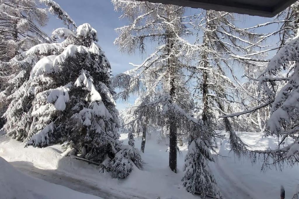 노르게 Trento, Monte Bondone, Casa Tipica Di Montagna 아파트 외부 사진