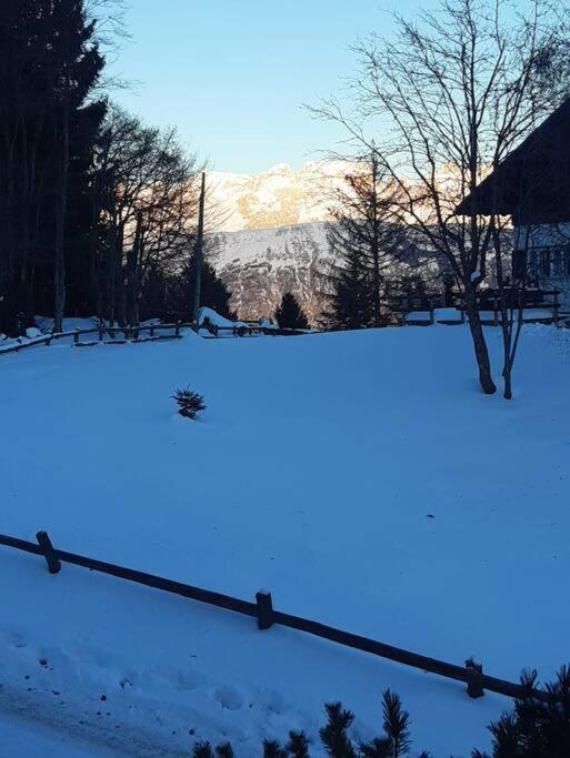 노르게 Trento, Monte Bondone, Casa Tipica Di Montagna 아파트 외부 사진
